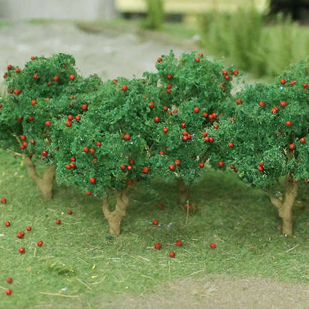 6 x Apple Trees