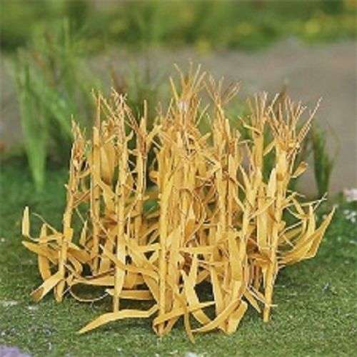 32 X Brown Corn Stalks