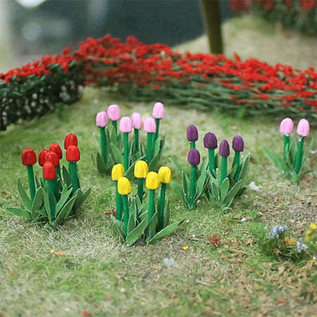 44 x Tulips Plants