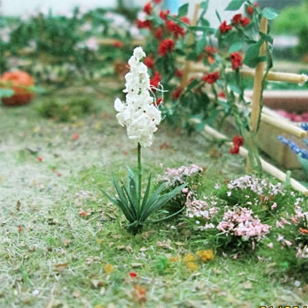 20 x Yuccas Plants