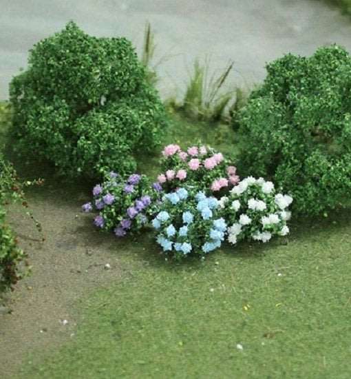 12 x Hydrangea Plants