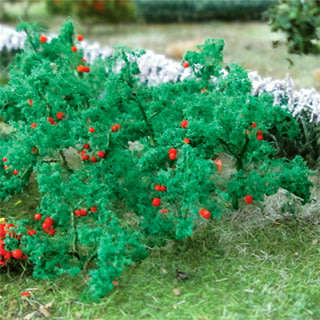 16 x Tomato Plants