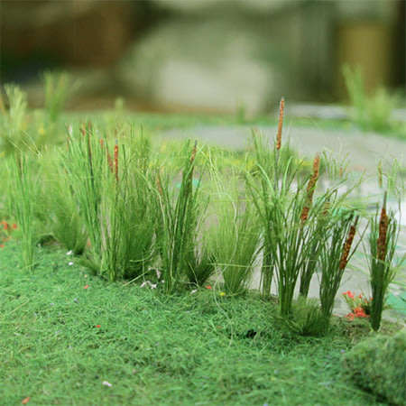 24 x Cattails