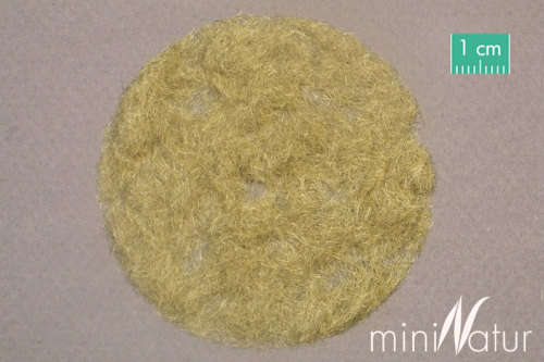 MiniNature : Static Grass - Late Fall, 2mm (50g)