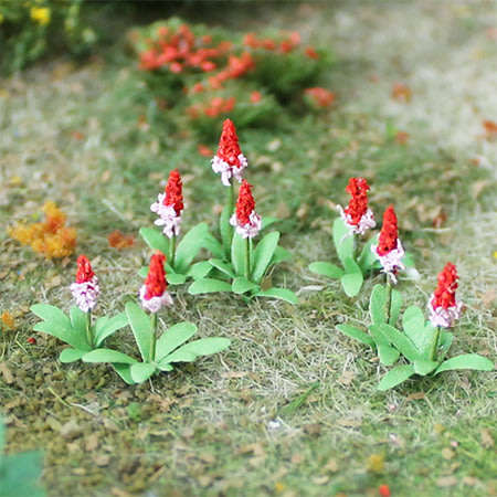 Primula Vialii (32 pcs)  HO