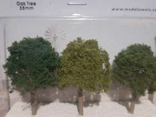 3 x Oak Trees