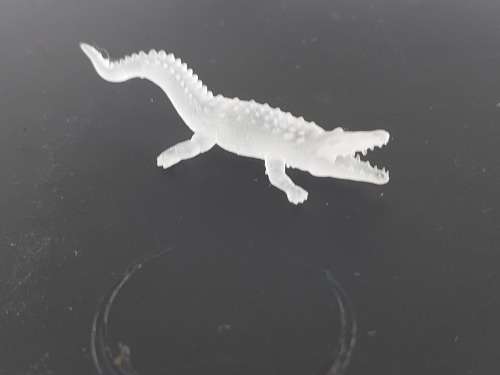 1 x Crocodile (HO)