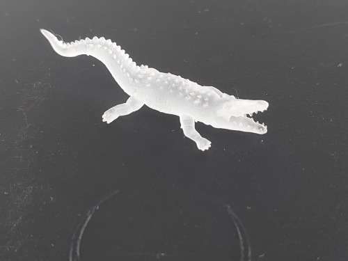 1 x Crocodile (HO)