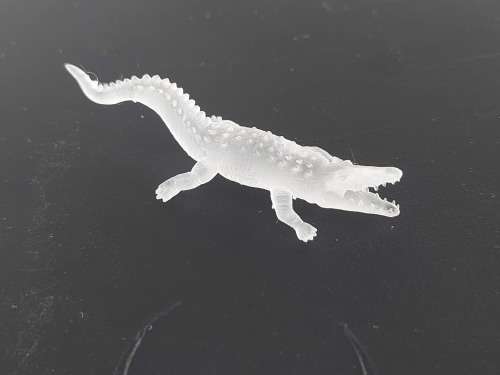 1 x Crocodile (HO)