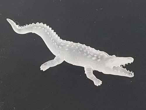 1 x Crocodile (HO)