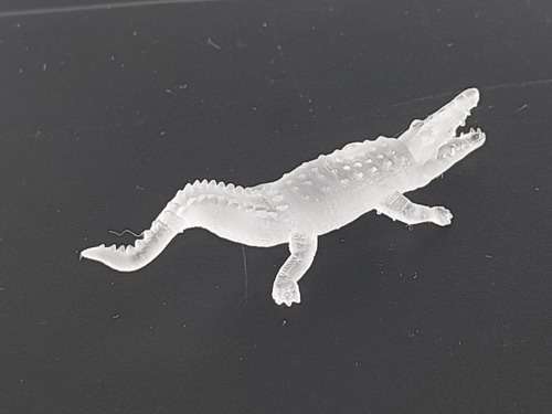 1 x Crocodile (HO)
