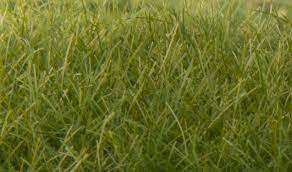 Woodlands Scenic : Static Grass - Dark Green 12mm
