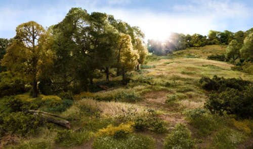Woodlands Scenic : Static Grass Learning Kit