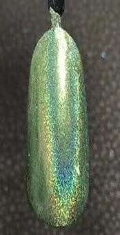 Cosmetic Grade Nail Resin Art Holographic Glitter
