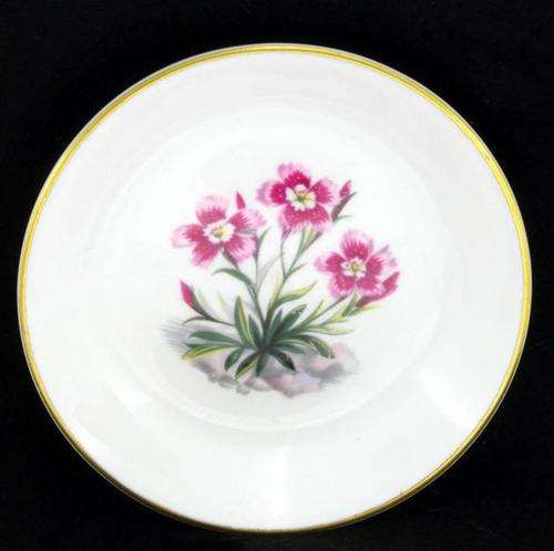 R1 Start!! Royal Worcester Pin Tray