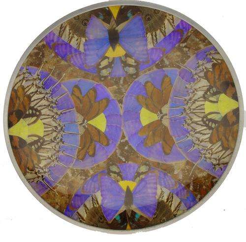 Exquisite Large 28.5cm Genuine Butterfly Wing Plate **Amazing Piece  -- Have a Look**