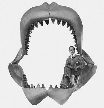 R1 no reserve !!! BIGGEST PREDATOR TO HAVE EVER LIVED !!! MEGALODON FOSSIL TOOTH