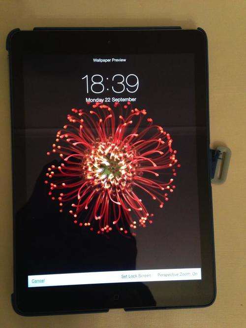 Apple iPad Air (16 Gig Wi Fi Only)