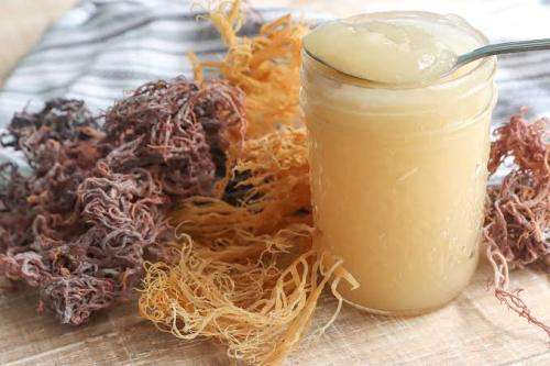 SEA MOSS  GEL 375ml