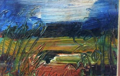 Framed oil paintings,