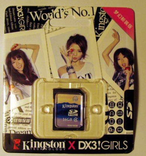16GB Standard SD (SDHC) Memory Card- Kingston Girls