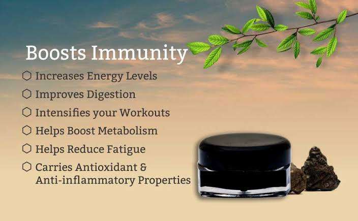 Shilajit Resin- 50 grams