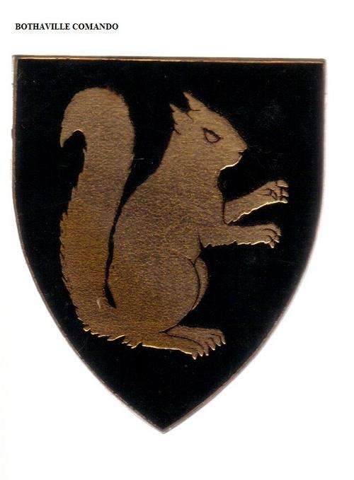 BOTHAVILLE COMMANDO - Shoulder flash - All 3 pins