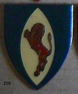 113 BATTALION NEW