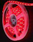 LED strip light 3528 SMD - 60LED's/meter - high bright RED - NON waterproof