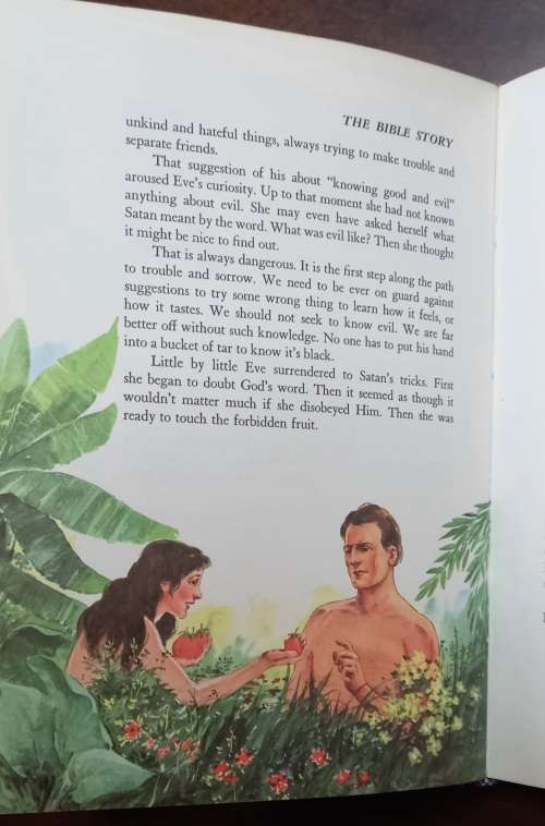 The Bible Story: Volume 1-10