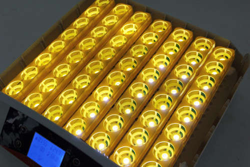 56 Egg Automatic Incubator - LOCAL STOCK