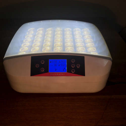 56 Egg Automatic Incubator - LOCAL STOCK