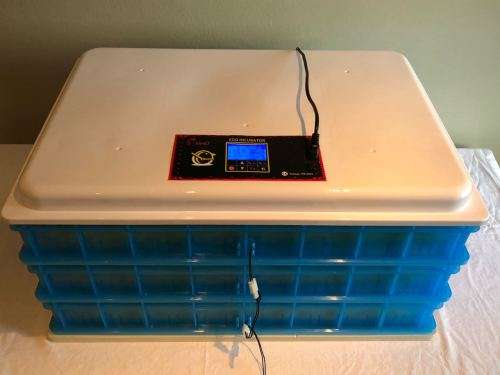 360 Egg Automatic Incubator - LOCAL STOCK
