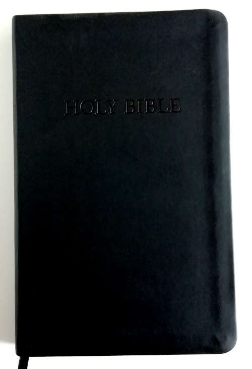 The Bible   New Living Translation
