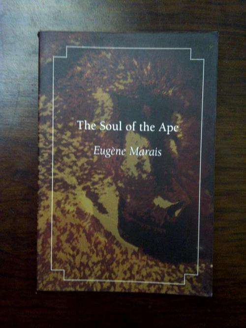 THE SOUL OF THE APE.