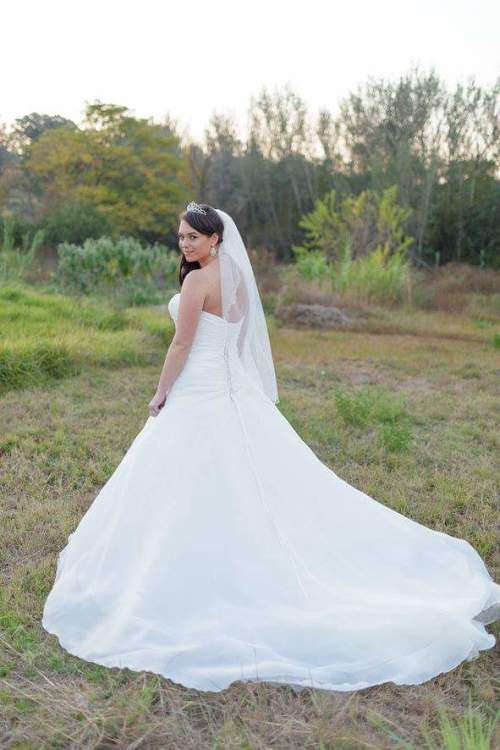 Elegant Demetrios Wedding Dress