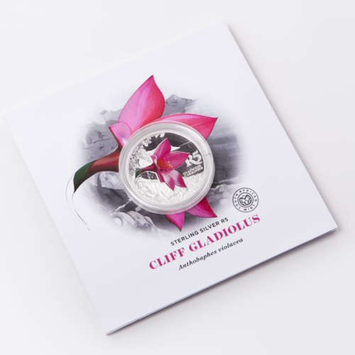 2016 Colored Silver R5 - Cliff Gladiolus - Sealed