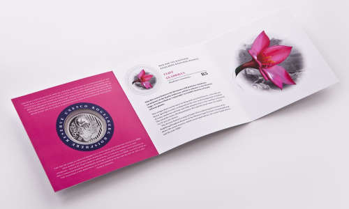 2016 Colored Silver R5 - Cliff Gladiolus - Sealed