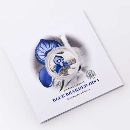 2016 Colored Silver R5 - Blue Bearded Disa - Sealed