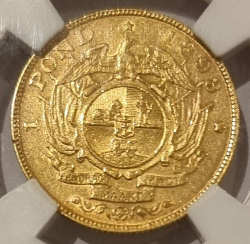 *ZAR Gold* 1893 Pond