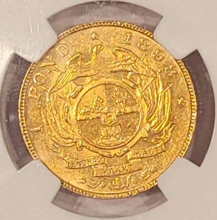 1898 Pond AU55
