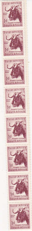 "CONTROLS" 1954 1d  proving strip of 22 coil stamps in MNH (18 x 22mm) VERY RARE!!! SACC151a CV R495