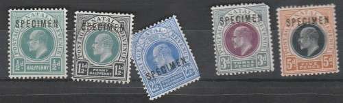 1902 NATAL MLH singles overpr SPECIMAN on 1/2d,1 1/2d 2 1/2d 3d and 5d SACC 109,111,113,115,116