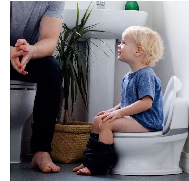 Baby To Toddler Potty Training Toilet Bowl Seat - Grey