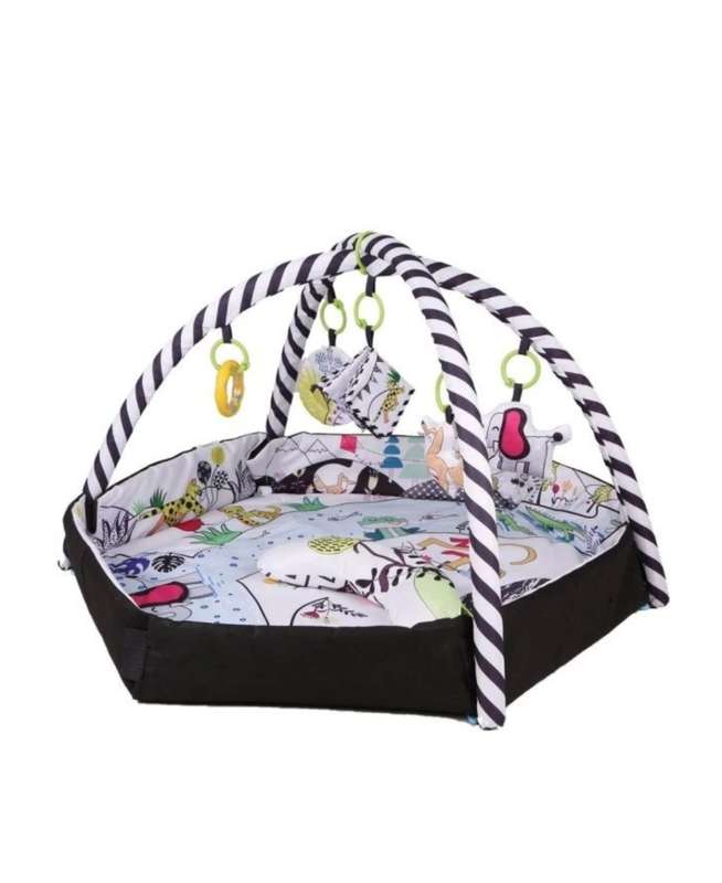 4 in 1 Infant Activity Gym Play Mat And Ball Pit