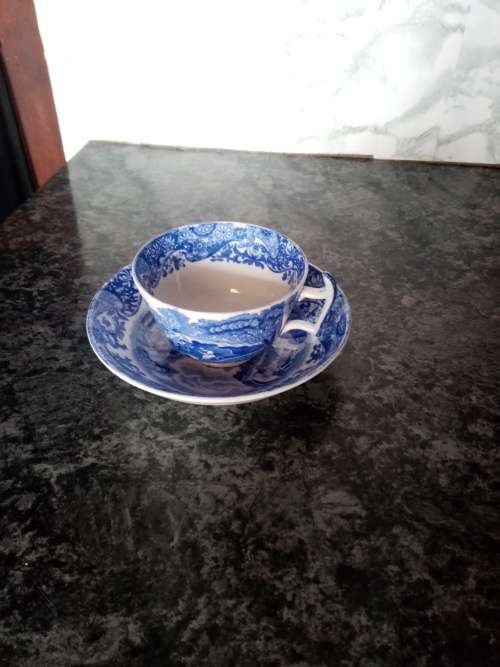 SPODE ITALIAN PORCELAIN TEACUP AND SAUCER