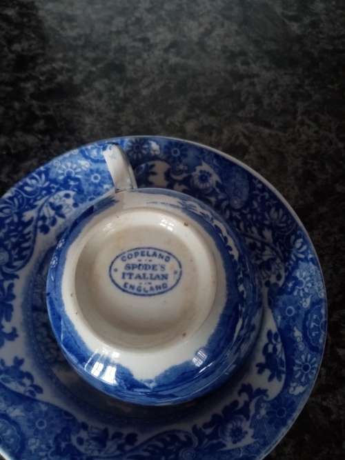 SPODE ITALIAN PORCELAIN TEACUP AND SAUCER