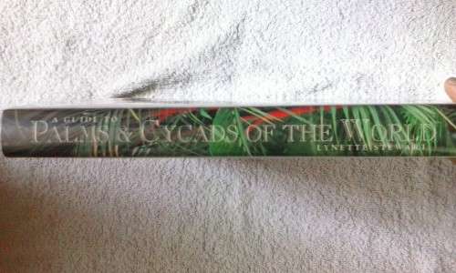 a Guid to Palms and Cycads of the World by Lynette Stewart