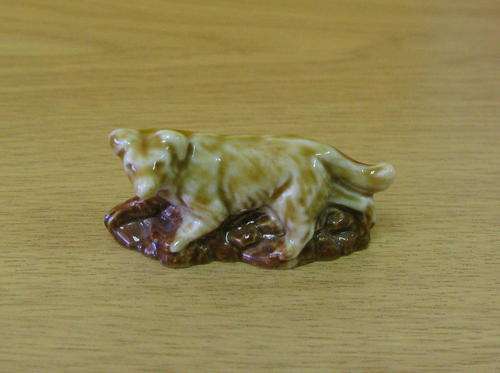 Wade Farmyard dog