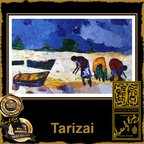 Tarizai Munsvhenga - RISING STAR!  GREAT INVESTMENT VALUE!